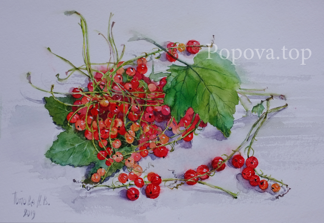 Red currant green leaves Picture A4 Watercolor Painted by Natalia Popova - Professional Artist in 2019 