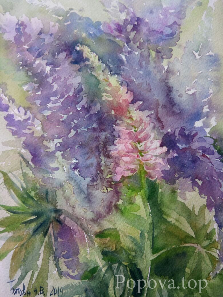 Mosquito Lupins Painting Watercolor 26x36 Written by Natalia Popova - Professional Artist in 2019 