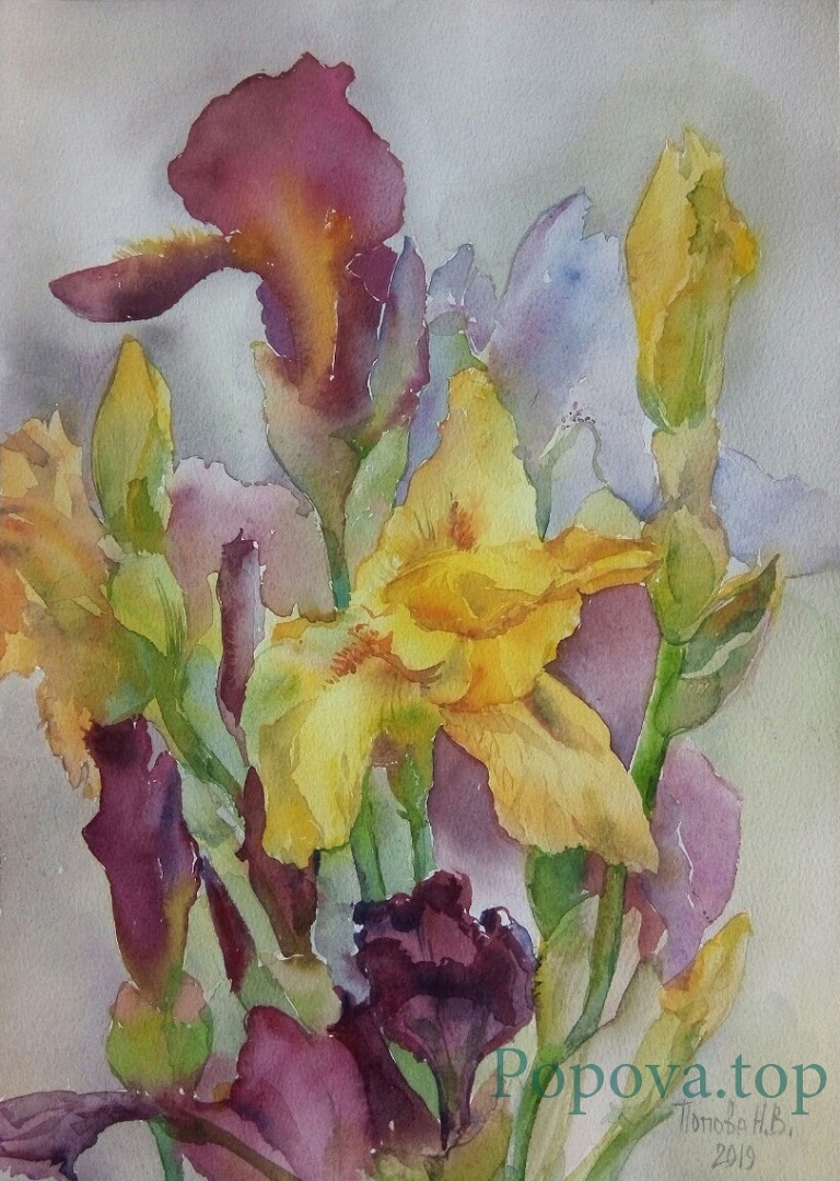 Irises Painting Watercolor 26x36 Written by Natalia Popova - Professional Artist in 2019 