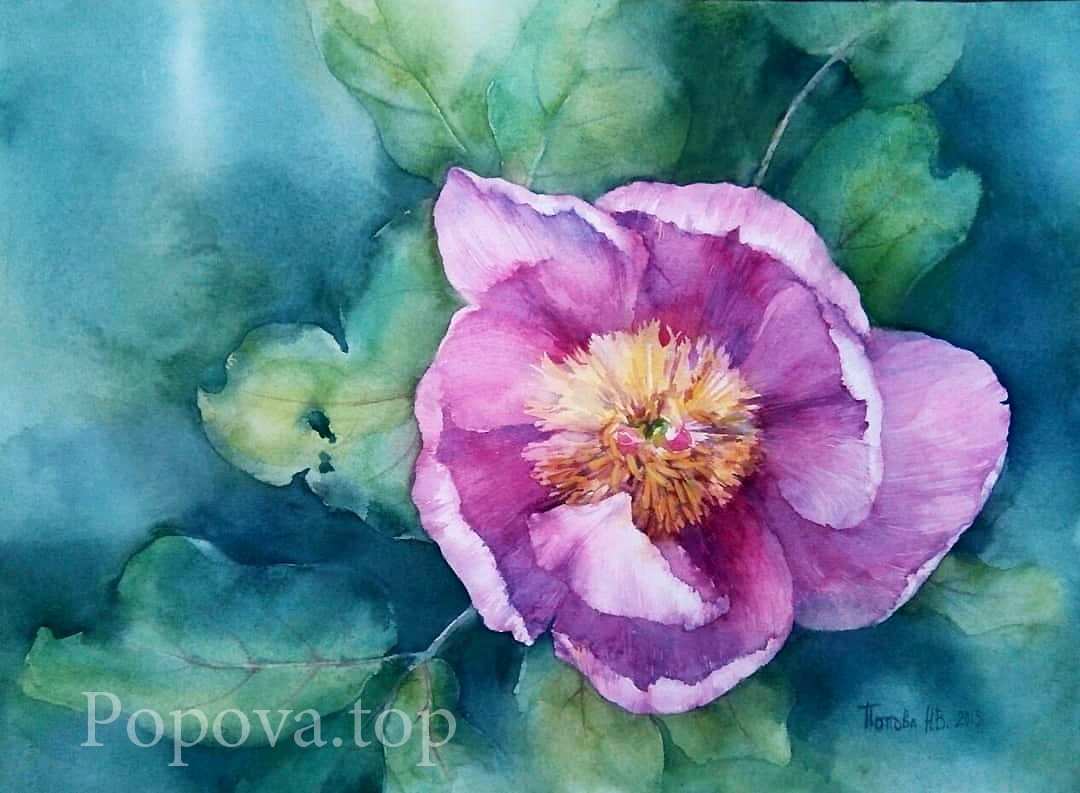 "Wild Peony" Painting Watercolor 39x54 Painted by Natalia Popova - Professional Artist in 2019