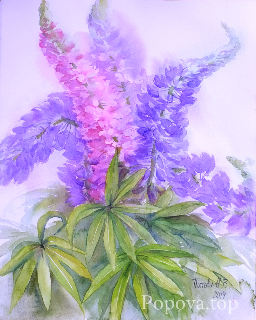 Lupins 3 Watercolor 28x38 Painting by Natalia Popova - Professional Artist in 2019 