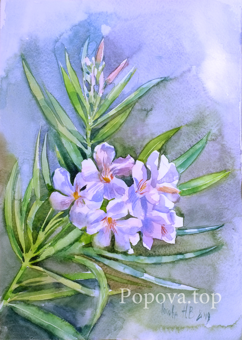 Sunny oleander Painting Watercolor A4 Written by Natalia Popova - Professional Artist in 2019 