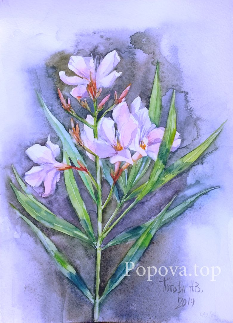 The sun in the petals Painting Watercolor A4 Written by Natalia Popova - Professional Artist in 2019 
