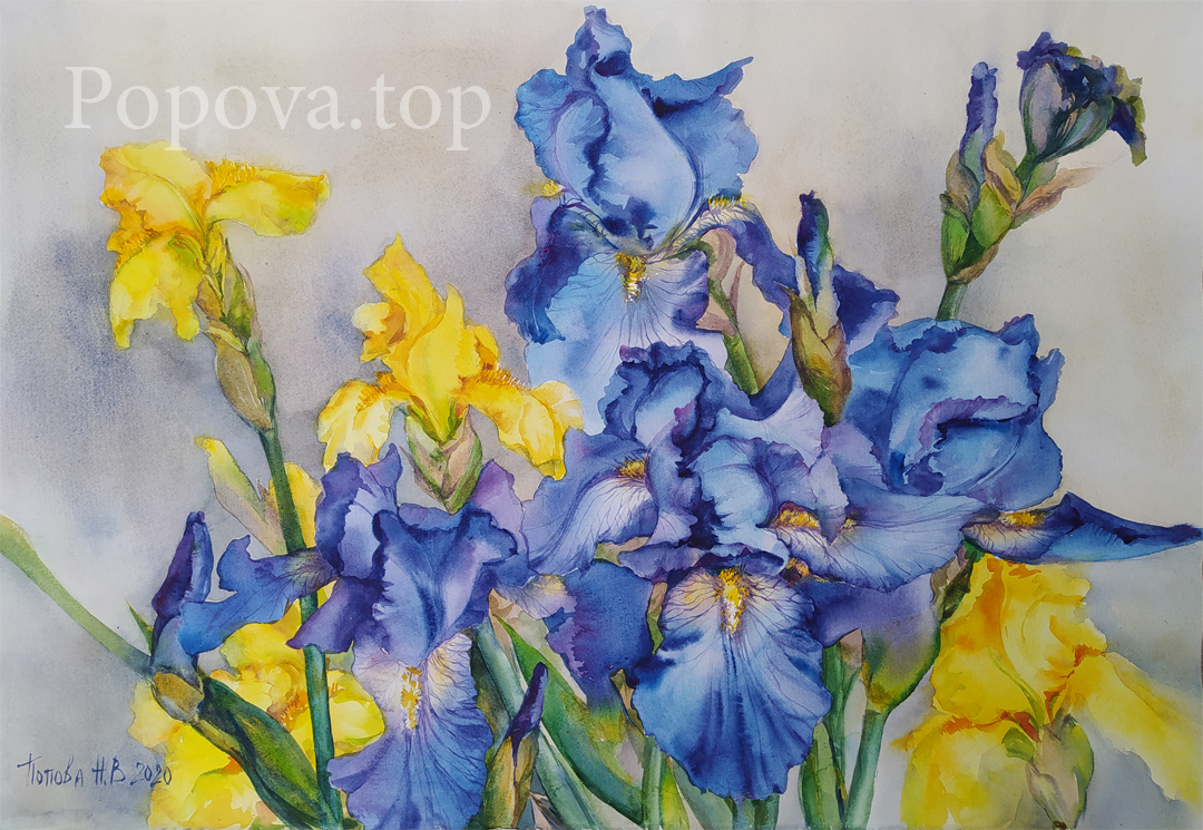 Such different irises Painting Watercolor 56x38 Natalia Popova - Professional Artist 2020