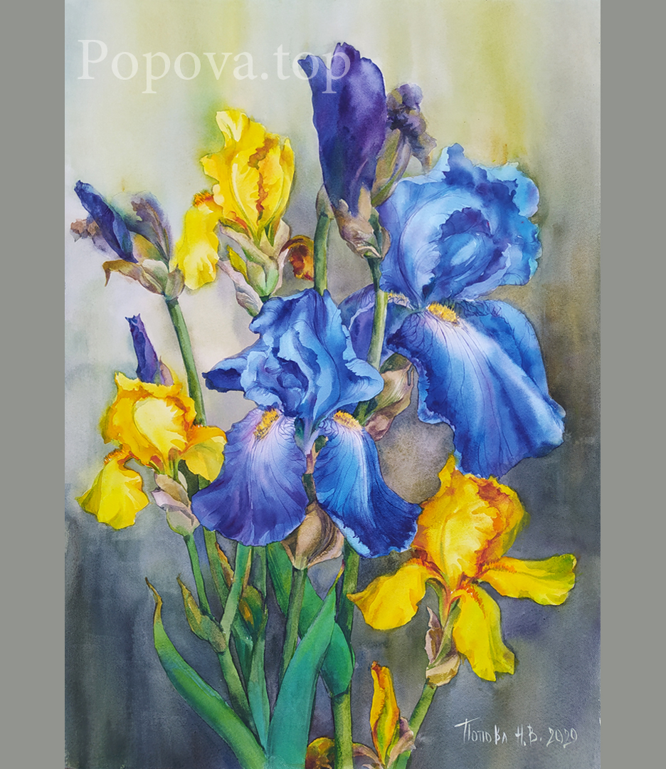Irises Again and Again Painting Watercolor 38x56 Natalia Popova - Professional Artist 2020