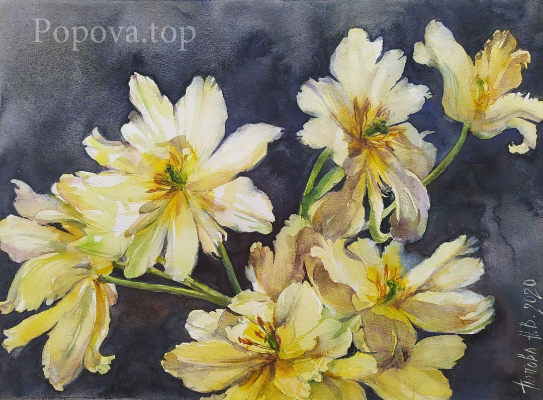 Shaggy tulips Painting Watercolor 28x36 Written by Natalia Popova - Professional Artist 2020 